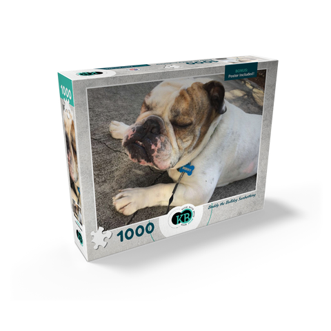 Animal Photography: Buddy the Bulldog Sunbathing 1000 Jigsaw Puzzle box view2