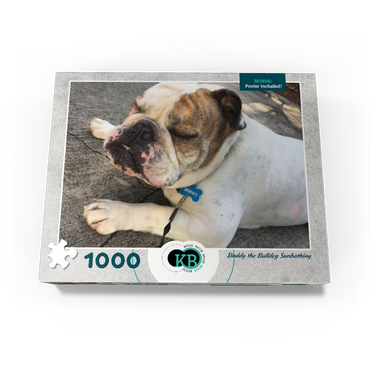 Animal Photography: Buddy the Bulldog Sunbathing 1000 Jigsaw Puzzle box view3