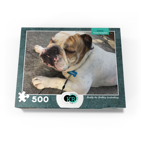 Animal Photography: Buddy the Bulldog Sunbathing 500 Jigsaw Puzzle box view3