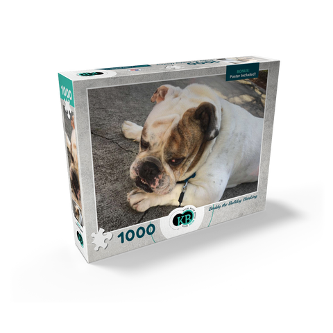 Animal Photography: Buddy the Bulldog Thinking 1000 Jigsaw Puzzle box view2