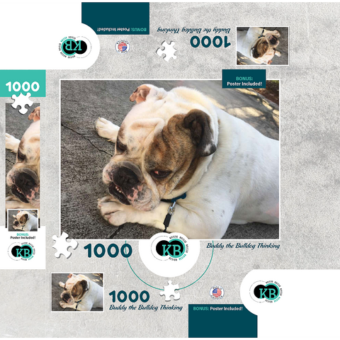 Animal Photography: Buddy the Bulldog Thinking 1000 Jigsaw Puzzle box 3D Modell