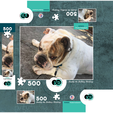 Animal Photography: Buddy the Bulldog Thinking 500 Jigsaw Puzzle box 3D Modell