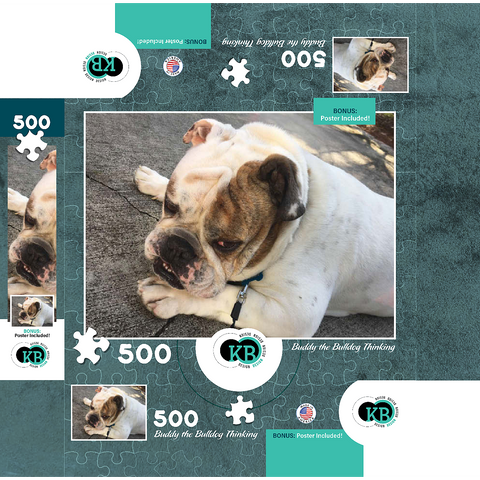 Animal Photography: Buddy the Bulldog Thinking 500 Jigsaw Puzzle box 3D Modell