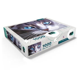 1000
