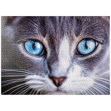 puzzleplate Animal Photography: Cat Deep Blue Soul 1000 Jigsaw Puzzle