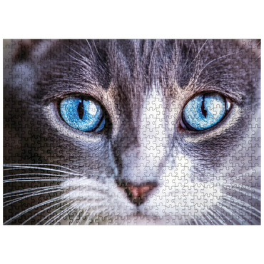 puzzleplate Animal Photography: Cat Deep Blue Soul 500 Jigsaw Puzzle