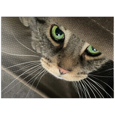 puzzleplate Animal Photography: Cat Green-Eyed Charmer 1000 Jigsaw Puzzle