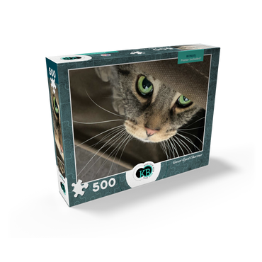 Animal Photography: Cat Green-Eyed Charmer 500 Jigsaw Puzzle box view2