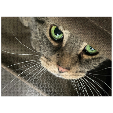 puzzleplate Animal Photography: Cat Green-Eyed Charmer 500 Jigsaw Puzzle