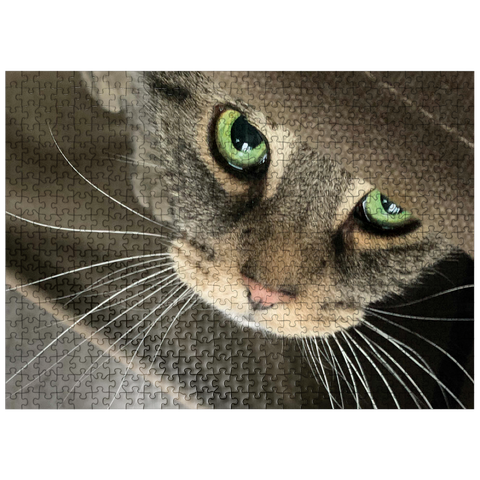 puzzleplate Animal Photography: Cat Green-Eyed Charmer 500 Jigsaw Puzzle