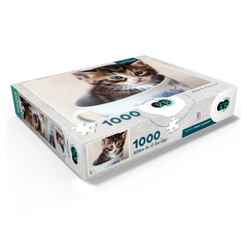 1000