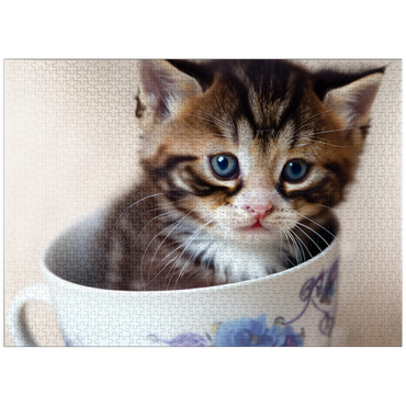 puzzleplate Animal Photography: Kitten In A Tea Cup 1000 Jigsaw Puzzle