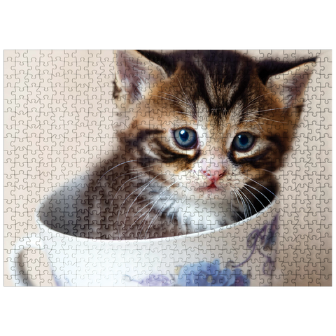 puzzleplate Animal Photography: Kitten In A Tea Cup 500 Jigsaw Puzzle