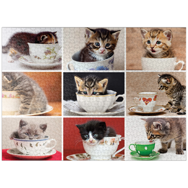 puzzleplate Animal Photography: Kittens In A Tea Cup Collage 1000 Jigsaw Puzzle