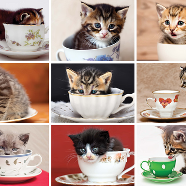 Animal Photography: Kittens In A Tea Cup Collage 1000 Jigsaw Puzzle 3D Modell