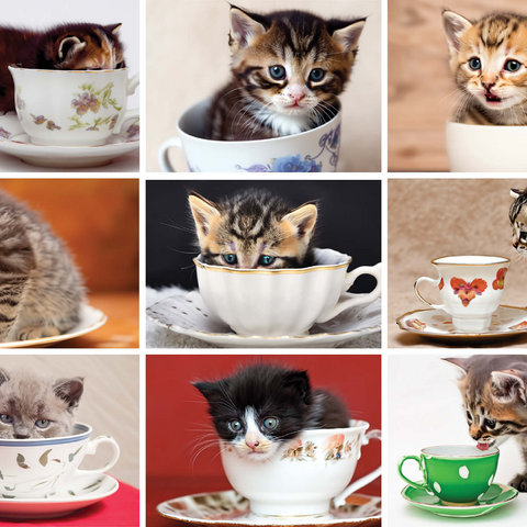 Animal Photography: Kittens In A Tea Cup Collage 1000 Jigsaw Puzzle 3D Modell