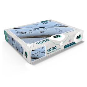 1000