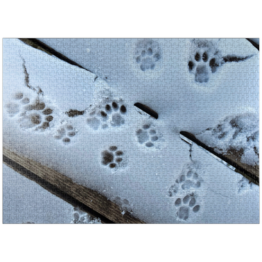 puzzleplate Animal Photography: Cat Purrprints In The Snow 1000 Jigsaw Puzzle