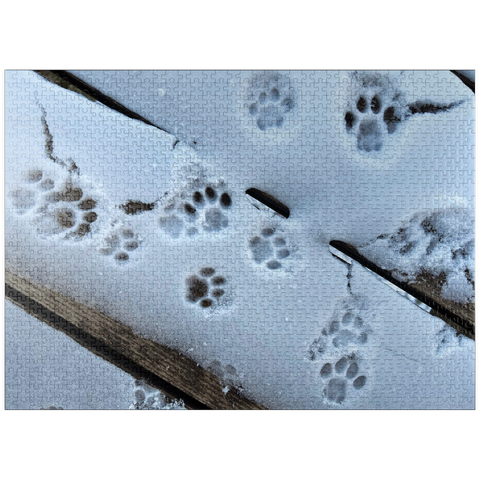 puzzleplate Animal Photography: Cat Purrprints In The Snow 1000 Jigsaw Puzzle