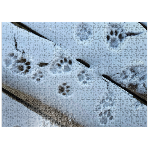 puzzleplate Animal Photography: Cat Purrprints In The Snow 500 Jigsaw Puzzle