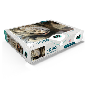 1000