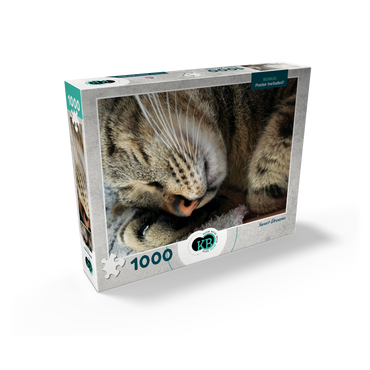 Animal Photography: Cat Sweet Dreams 1000 Jigsaw Puzzle box view2