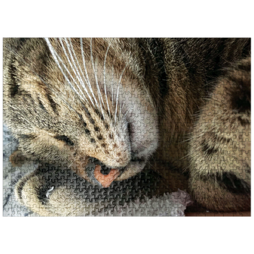 puzzleplate Animal Photography: Cat Sweet Dreams 500 Jigsaw Puzzle