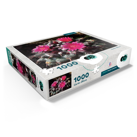 Flowers & Plants Photography: Cactus_Bloom 1000 Jigsaw Puzzle box view1