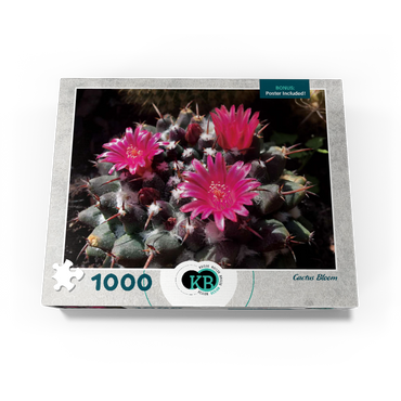 Flowers & Plants Photography: Cactus_Bloom 1000 Jigsaw Puzzle box view3