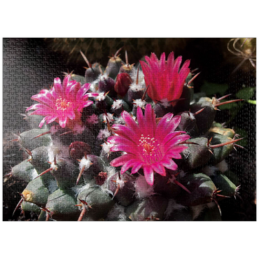 puzzleplate Flowers & Plants Photography: Cactus_Bloom 1000 Jigsaw Puzzle