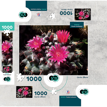 Flowers & Plants Photography: Cactus_Bloom 1000 Jigsaw Puzzle box 3D Modell