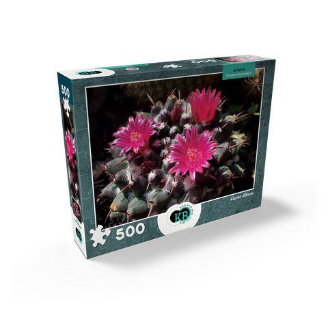 Flowers & Plants Photography: Cactus_Bloom 500 Jigsaw Puzzle box view2