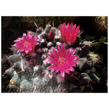 puzzleplate Flowers & Plants Photography: Cactus_Bloom 500 Jigsaw Puzzle