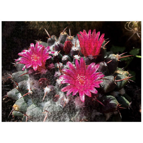 puzzleplate Flowers & Plants Photography: Cactus_Bloom 500 Jigsaw Puzzle