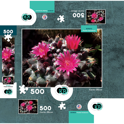 Flowers & Plants Photography: Cactus_Bloom 500 Jigsaw Puzzle box 3D Modell