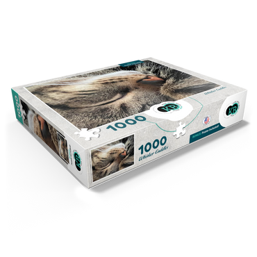 Animal Photography: Cat Whisker Cuddles 1000 Jigsaw Puzzle box view1