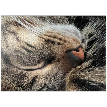 puzzleplate Animal Photography: Cat Whisker Cuddles 1000 Jigsaw Puzzle