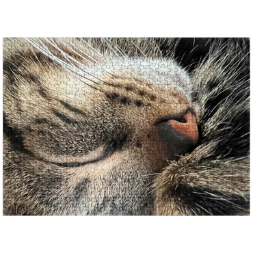 puzzleplate Animal Photography: Cat Whisker Cuddles 500 Jigsaw Puzzle