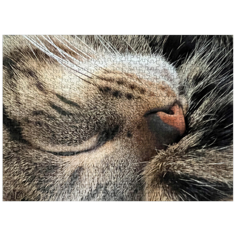 puzzleplate Animal Photography: Cat Whisker Cuddles 500 Jigsaw Puzzle