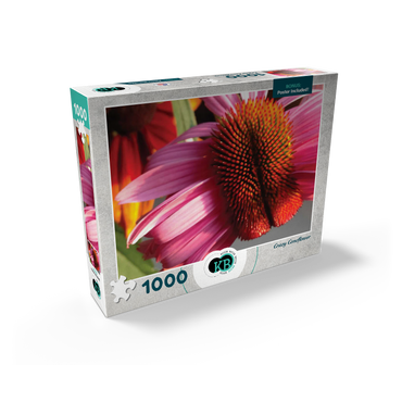 Flowers & Plants Photography: Crazy Coneflower 1000 Jigsaw Puzzle box view2