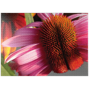 puzzleplate Flowers & Plants Photography: Crazy Coneflower 1000 Jigsaw Puzzle