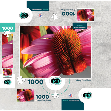 Flowers & Plants Photography: Crazy Coneflower 1000 Jigsaw Puzzle box 3D Modell