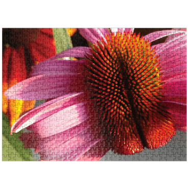 puzzleplate Flowers & Plants Photography: Crazy Coneflower 500 Jigsaw Puzzle