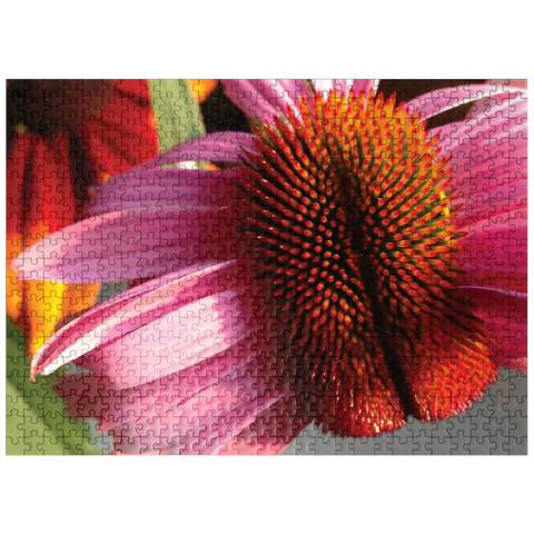 puzzleplate Flowers & Plants Photography: Crazy Coneflower 500 Jigsaw Puzzle