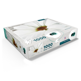 1000