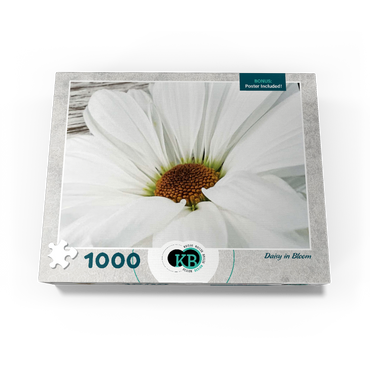 Flowers & Plants Photography: Daisy In Bloom 1000 Jigsaw Puzzle box view3