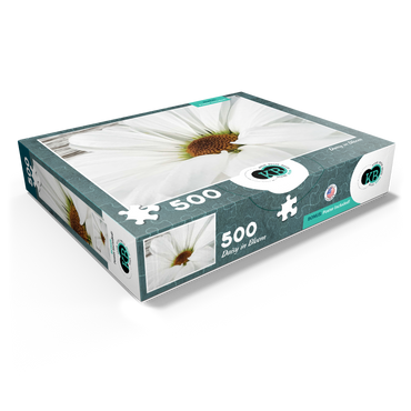 Flowers & Plants Photography: Daisy In Bloom 500 Jigsaw Puzzle box view1