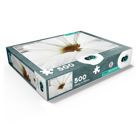 Flowers & Plants Photography: Daisy In Bloom 500 Jigsaw Puzzle box view1