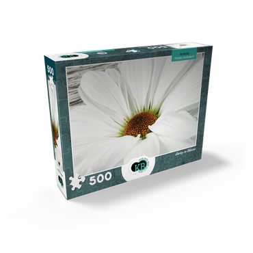 Flowers & Plants Photography: Daisy In Bloom 500 Jigsaw Puzzle box view2