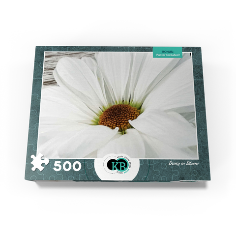 Flowers & Plants Photography: Daisy In Bloom 500 Jigsaw Puzzle box view3